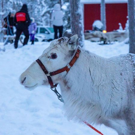 Skyfire Village Igloos Рованіемі Екстер'єр фото