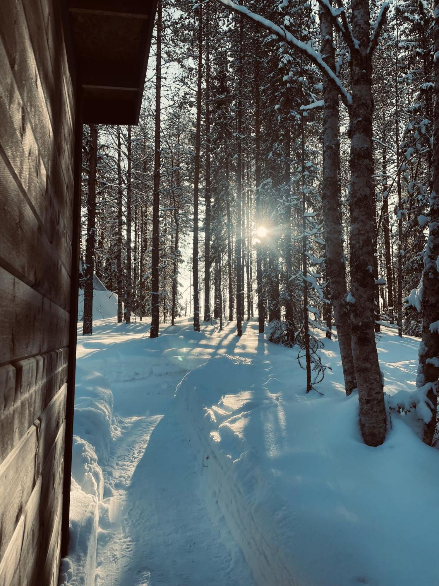 Skyfire Village Igloos Рованіемі Екстер'єр фото