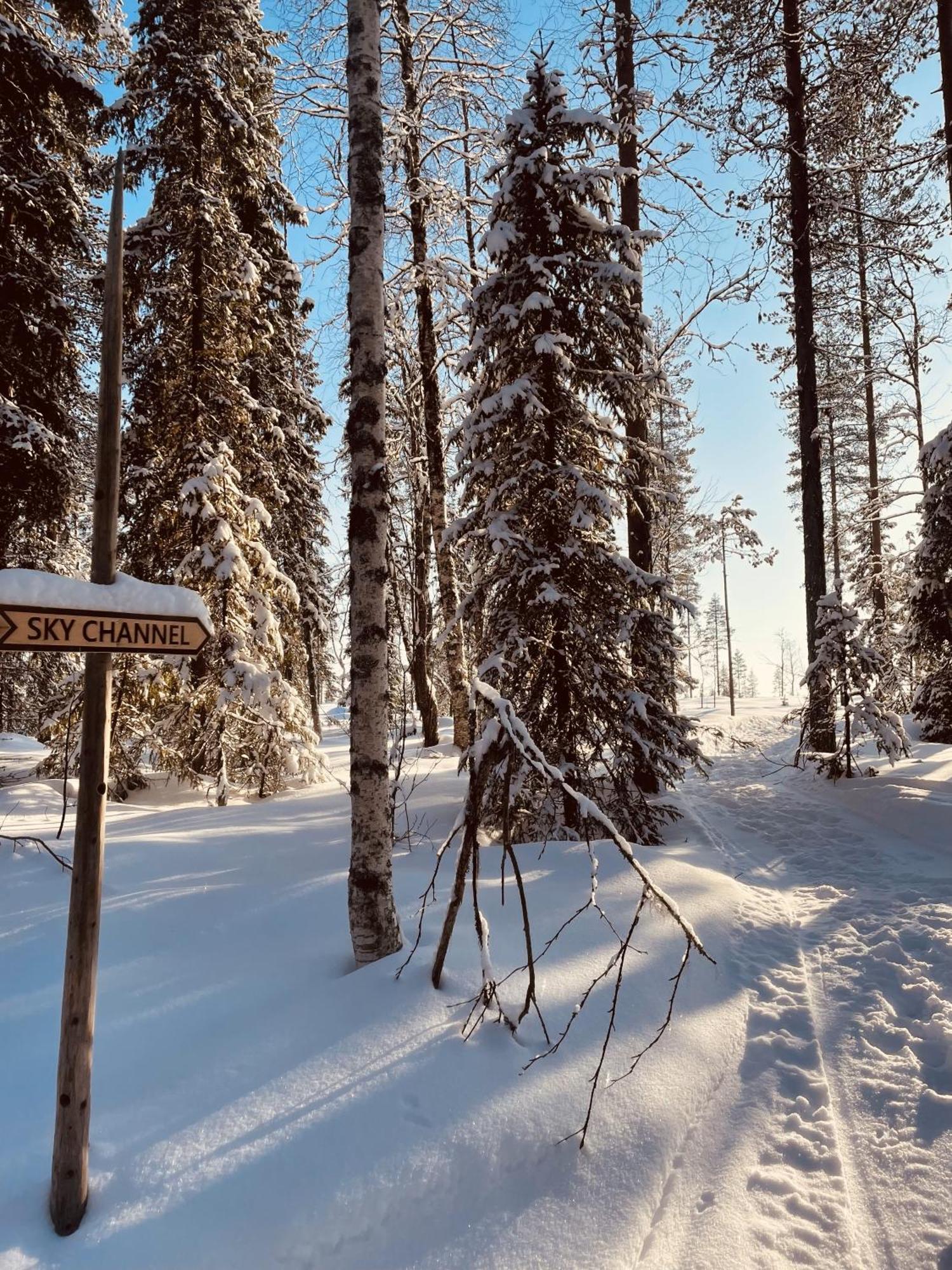 Skyfire Village Igloos Рованіемі Екстер'єр фото
