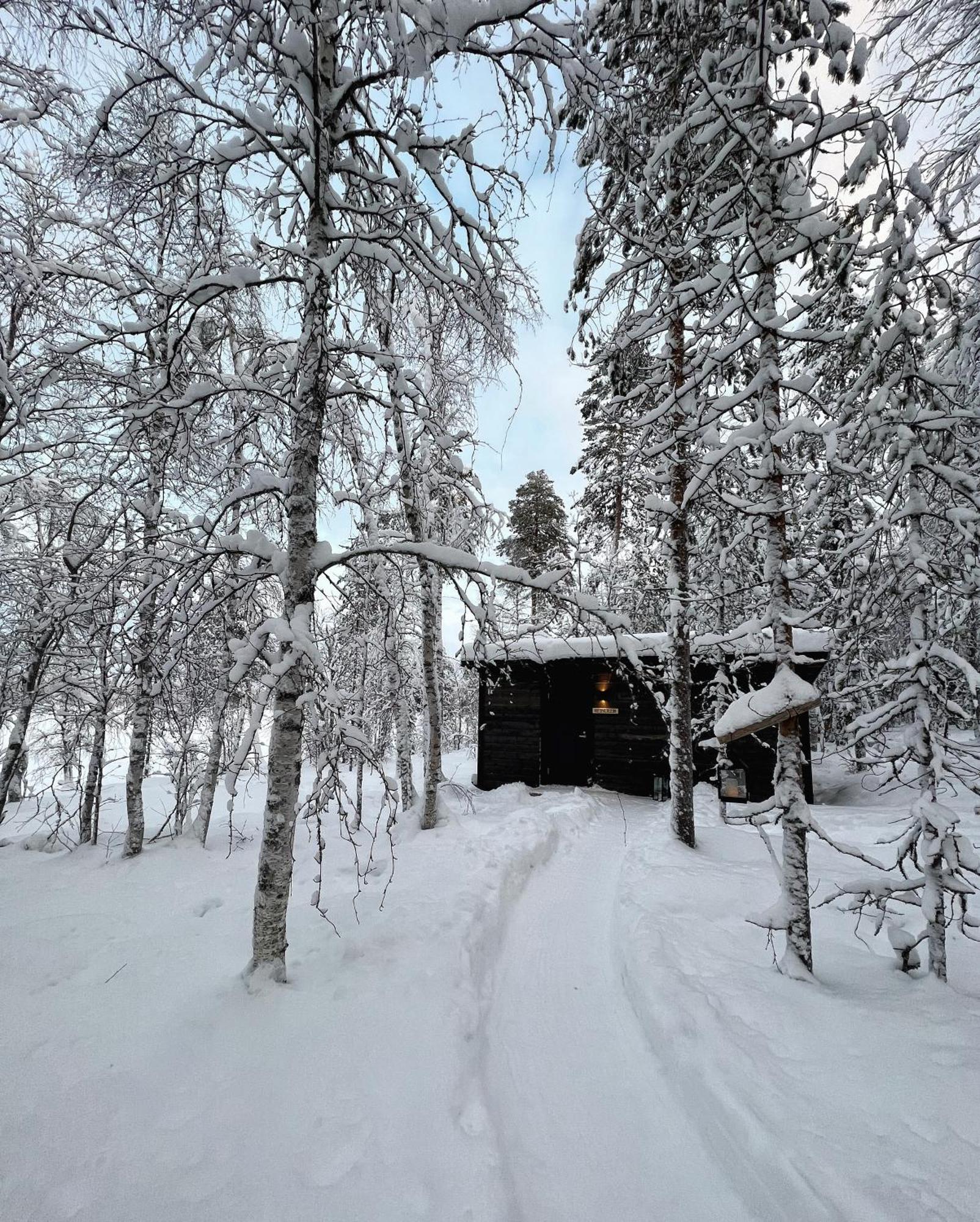 Skyfire Village Igloos Рованіемі Екстер'єр фото